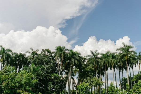 Où trouver des cours gratuits de danse salsa à Cuba ?